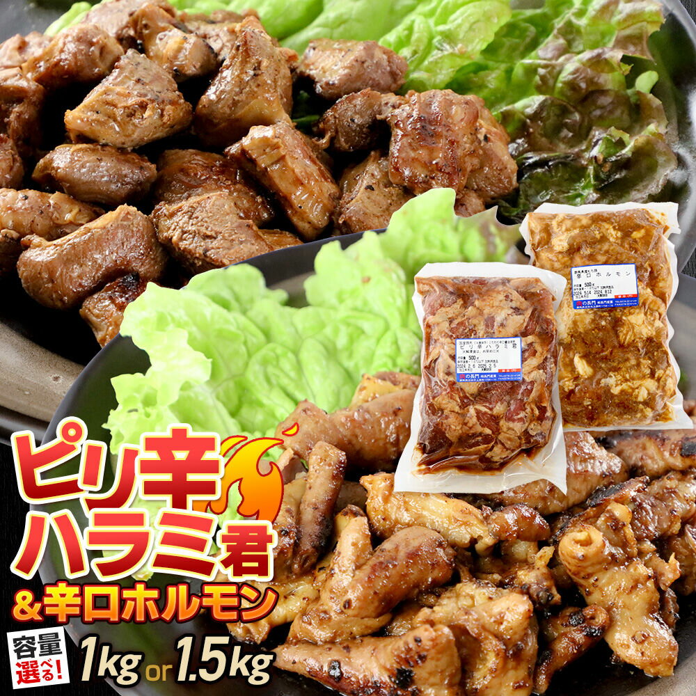 【ふるさと納税】群馬県産 ピリ辛ハラミ君＆もち豚辛口ホルモンセット（500gパック小分け）【選べる容量 約1kg／約1.5kg】豚肉 沼田市 特産品 肉の長門 [モチ もち ブタ ぶた 肉 ほるもん バラエティ 食べ比べ 味比べ]