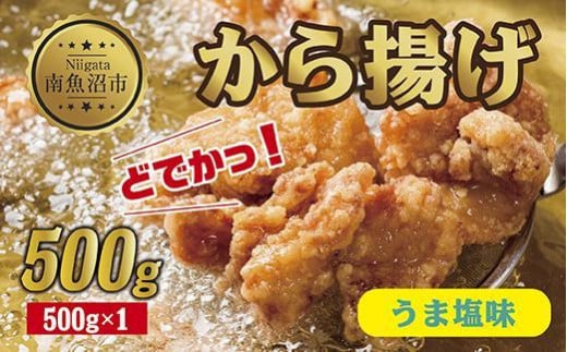 
ES246 どでか味付けから揚げ うま塩味 500g 唐揚げ からあげ から揚げ しお 塩 揚げ物 冷凍 惣菜 簡単 調理 肉 おかず 味付き 野崎フーズ 新潟県 南魚沼市
