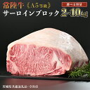 【ふるさと納税】【 常陸牛 】 A5等級 サーロイン ブロック 選べる容量 2kg 3kg 4kg 5kg 6kg 7kg 8kg 9kg 10kg （茨城県 共通返礼品：守谷市） 国産 ステーキ 焼き肉 ブロック肉 牛肉 ヒタチギュウ ひたちぎゅう ブランド牛 黒毛和牛 和牛 国産黒毛和牛 お肉 A5ランク