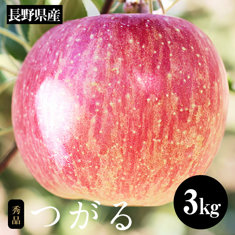 【ふるさと納税】【長野県産】早生りんご(つがる)約3kg 秀品〈2025年9月上旬～9月中旬発送〉| 果物 くだもの フルーツ りんご リンゴ 林檎 つがる 長野県 信州 南信州 飯田市 B19
