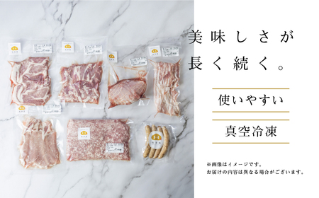 保美豚プレミアム・真空冷凍肉無添加　7品目入り×2セット ／ 豚肉 加工品 ローススライス ウインナー ミンチ 完全薬剤不使用 愛知県 特産品 産地直送 田原市 渥美半島