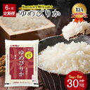 【ふるさと納税】北海道 定期便 6ヵ月連続6回 令和6年産 ゆめぴりか 5kg×1袋 特A 精米 米 白米 ご飯 お米 ごはん 国産 ブランド米 肉料理 ギフト 常温 お取り寄せ 産地直送 送料無料 　定期便・月形町　お届け：令和6年10月初旬から順次出荷いたします。