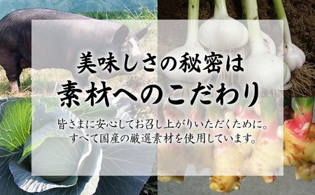 087-01-2 【ふるなびWEEK対象】国産素材にこだわった鹿児島黒豚餃子120個