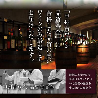 ふるさと納税 甲州市 勝沼ぶどうの丘推奨スパークリングワイン6本セット(KBO)F-603 |  | 02