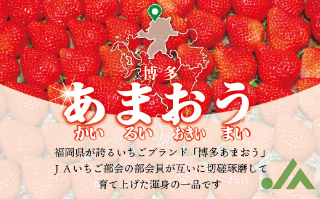博多あまおう（春）6パック