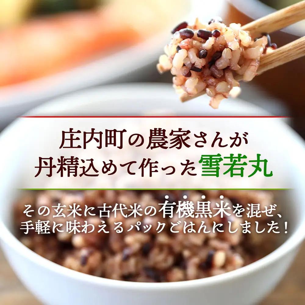 【定期便】雪若丸 玄米 パックごはん 160g×24個×6ヶ月 毎月お届け 有機黒米入り 山形県庄内町産 保存食 非常食 備蓄 防災 レンジで2分 レンチン 時短 簡単調理 ローリングストック【9月中