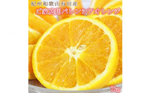 【ご家庭用訳あり】希少な国産バレンシアオレンジ 7kg ※2025年6月下旬～7月上旬頃に順次発送予定