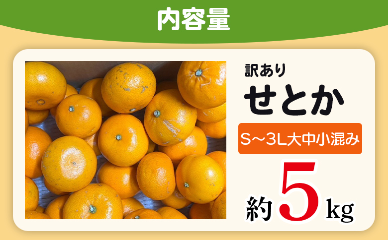 ＜木下さんちのせとか 訳あり 約5kg（S～3L大中小混み）＞ 訳アリ 家庭用 自宅用 柑橘 ミカン みかん 蜜柑 果物 くだもの フルーツ 国産 特産品 木下農園 愛媛県 西予市【常温】『2027年