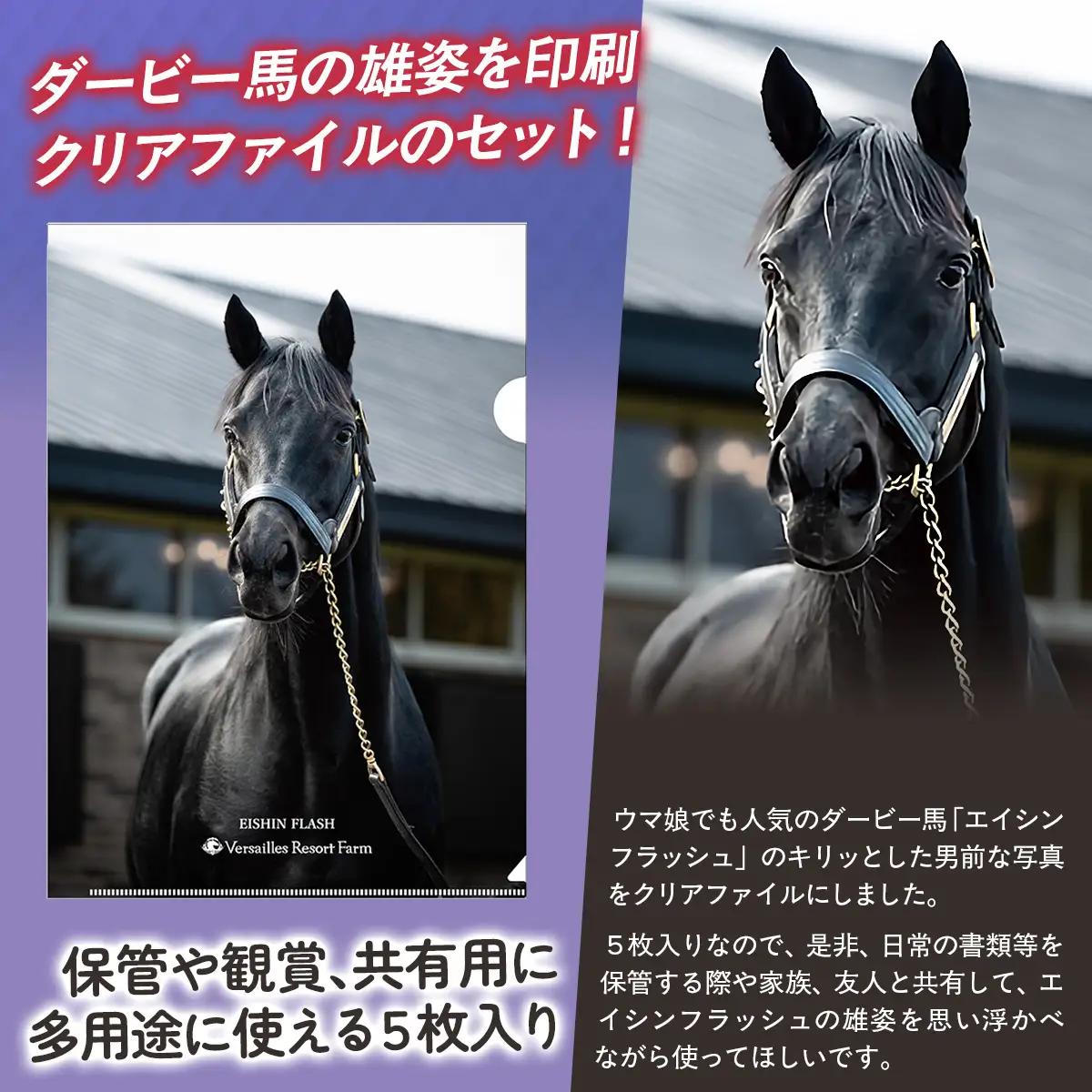 【エイシンフラッシュ】クリアファイル5枚入り BRTV033