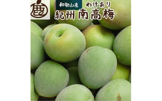 家庭用 紀州南高梅(青梅)1kg+250g（傷み補償分）【梅干し・梅酒・梅ジュース】【訳あり】［IKE315］