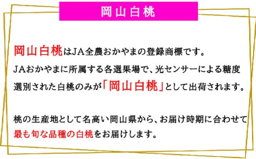 岡山白桃 ロイヤル 4～8玉 約1.2kg 岡山県産 【2026年7月上旬～8月下旬迄発送予定】 ／ 白桃 桃 もも 果物 果実 フルーツ 岡山県 美咲町 冷蔵