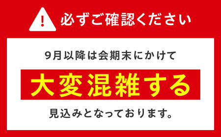 【平日券】2025年日本国際博覧会 大阪・関西万博 入場チケット（大人1名分）【EXPO 2025 大阪 関西 日本 万博 ばんぱく 夢洲 期間限定】　万博万博万博万博万博