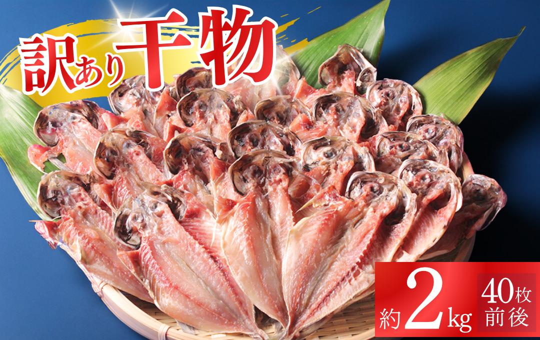干物 訳あり アジの干物セット 伊豆急物産 手作り干物 セット 干物 ひもの 静岡県 南伊豆 伊豆急コミュニティー 干物セット ひもの ひものセット 伊豆 魚介類 詰め合わせ アジ 人気