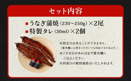 国産 うなぎ 蒲焼 2尾 （460g～ 500g）と 特製タレ 2個 セット 鰻 ウナギ 蒲焼き うなぎ蒲焼 セイロ蒸し せいろ蒸し タレ付 冷凍 父の日