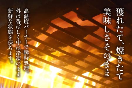 訳あり かつおのたたき 2kg 10,000円 サイズ 不揃い 小分け 真空 パック 新鮮 鮮魚 天然 水揚げ カツオ 鰹 タタキ 冷凍 大容量 マルコ水産 静岡県