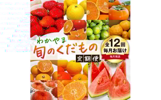 【旬のくだもの定期便】和歌山県の旬のフルーツを毎月お届け！　全12回【Ｓ】（配送日時指定不可）※北海道・沖縄・離島への配送不可 / 定期便 フルーツ みかん いちご イチゴ セミノール 河内晩柑 すいか 桃 柿 ジュース 12回 【ard-tkb901A】