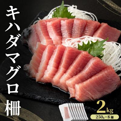 ふるさと納税 東洋町 キハダマグロ 柵 2kg