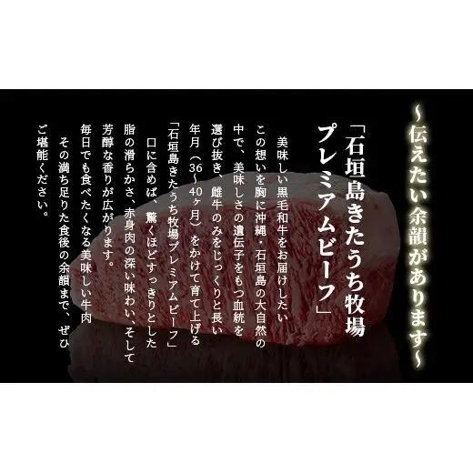 特製レトルトビーフシチュー 5個【総重量1.1Kg】 AM-20