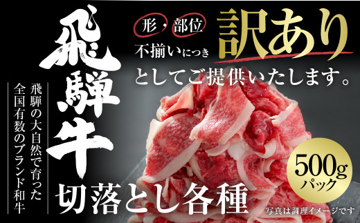 訳あり 飛騨牛 切り落とし 500g 不揃い 冷凍 真空パック ｜ 飛騨牛 訳あり 牛肉 訳あり 飛騨牛 切り落とし 牛肉 切り落とし 切落し 飛騨牛 切り落とし 500g 飛騨牛 すき焼き 牛肉 すき焼き 牛丼 カレー 和牛 切り落とし 飛騨牛 ギフト 牛肉 ギフト 飛騨牛 冷凍 真空パック 和牛 黒毛和牛 国産牛 飛騨牛 牛肉 世界遺産 白川郷 [MZ011]