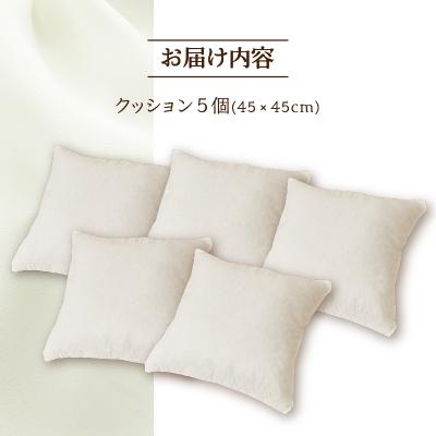 ふるさと納税 滝川市 【ノンアレルギー素材】洗えるヌードクッション 5個 完全国内生産 国産 ホテル仕様 日本製 |  | 03