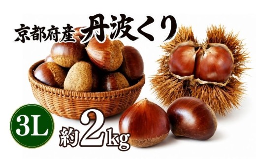 《先行予約》  2026年度産 丹波くり 約2kg 3Lサイズ