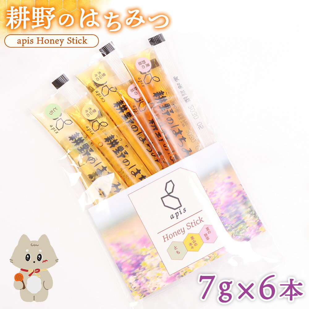 【ふるさと納税】耕野のはちみつ　apis Honey Stick 　7g×6本【21011AA0101】