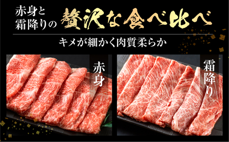 飛騨牛 すき焼き 食べ比べ 500g 肩 ロース 肉 もも 赤身 霜降り すきやき しゃぶしゃぶ 霜降り 飛騨 鍋 家族 友人と 牛肉 国産 岐阜県 黒毛和牛 和牛 A4 贅沢 祝 プレゼント 冷凍 