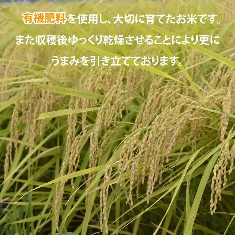 令和8年産 ゆうだい21 玄米 5kg DQ008