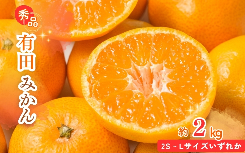 
                  【先行予約】秀品 有田みかん 約2kg 2S～Lサイズのいずれか  / みかん ミカン 蜜柑 温州みかん 柑橘 フルーツ 果物 くだもの 和歌山【2026年11月下旬～2027年1月下旬頃に順次発送予定】
                