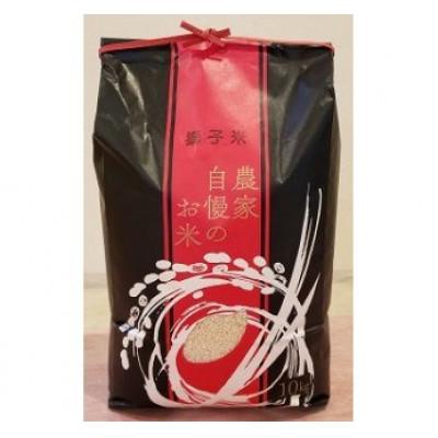 ふるさと納税 石岡市 獅子米 もち米(マンゲツモチ) 精米10kg【令和7年産】