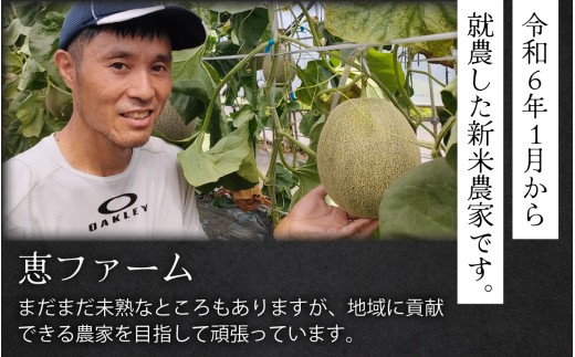 【先行予約】青肉ペルルメロン 大玉 1玉 2.5kg以上 【2026年6月下旬から順次発送】| 青肉 メロン ペルル 予約 福井県 南越前町 フルーツ メロン めろん 青肉メロン melon 果物 一苗 一玉  2.5kg以上 XLサイズ お届け 産地直送 農家直送 国産 先行予約 数量限定 贈答用 手土産 ギフト 誕生日 送料無料