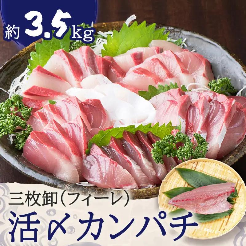 鹿児島県産 カンパチ 約3.5kg 三枚卸（ フィーレ ） 活〆 ※ 真空包装 K294-003_02 魚