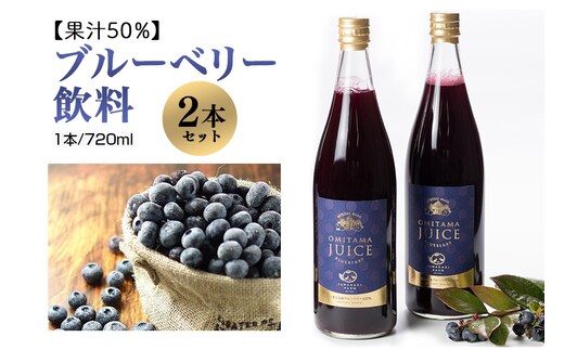 
										
										果汁50％ブルーベリー飲料2本セット 9-L
									