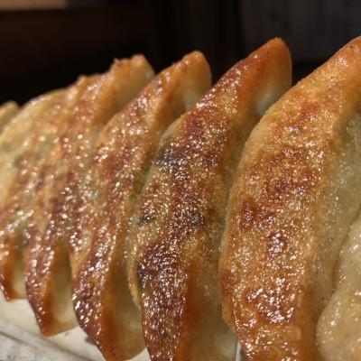 ふるさと納税 開成町 餃子屋ヒロの3種食べ比べセット+タレ |  | 03