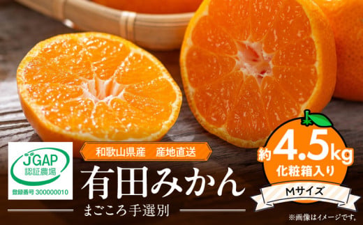ZE6059n_【2025年先行予約】和歌山県産 有田みかん 化粧箱 約4.5kg Mサイズ【まごころ手選別】