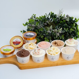 Lit GELATO 定番フレーバー ジェラート 12個セット アイス 詰め合わせ 手作り 人気ジェラート