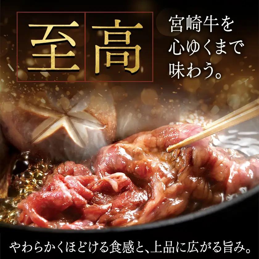 宮崎牛(A5)ローススライス500g≪みやこんじょ特急便≫〔AD-0102-Q〕_(都城市) 10日以内お届け 宮崎牛ロース薄切り肉 500g×1パック A5 5等級 すき焼き 国産牛肉 宮崎県産牛肉