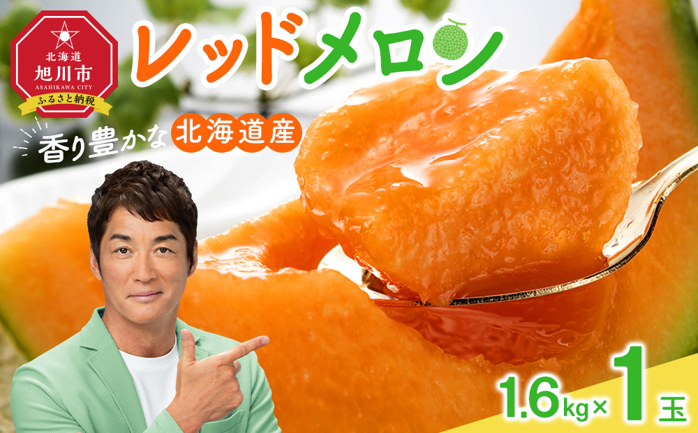 【26年発送先行予約】香り豊かな 北海道レッドメロン 1.6kg×1玉(2026年7月下旬から発送開始予定) 【 果物 くだもの フルーツ メロン 赤肉 赤肉メロン 旬 お取り寄せ 甘い 北海道産 旭川市 北海道 】_05410