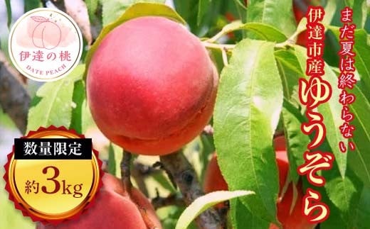 
            福島県産 ゆうぞら 約3kg 2025年8月中旬～2025年9月初旬発送 2025年出荷分 先行予約 予約 数量限定 小さめ 固め 伊達の桃 桃 もも モモ 果物 くだもの フルーツ 国産 食品 F20C-160
          