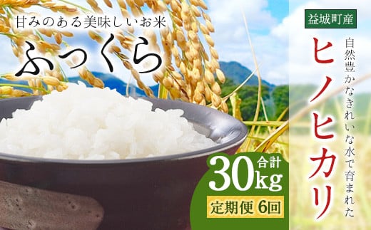 
            【6回定期便】熊本 益城町産ヒノヒカリ 5kg×年6回 合計30kg
          