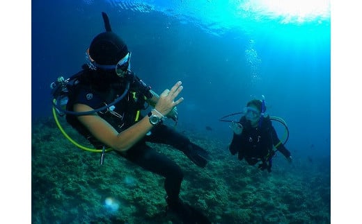 
【オフシーズン限定キャンペーン！】ダイビングライセンス講習【PADI オープンウォーターダイバー（OWD）】＜1名様＞
