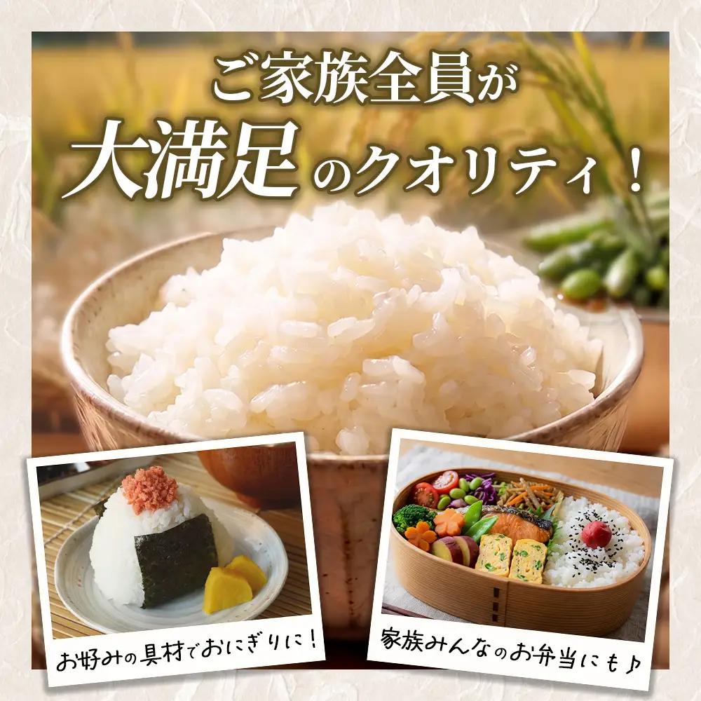 【令和8年産】茨城あきたこまち【無洗米】 10kg（5㎏×2袋） | お米 米 あきたこまち 茨城県産 白米 ブランド米 小分け