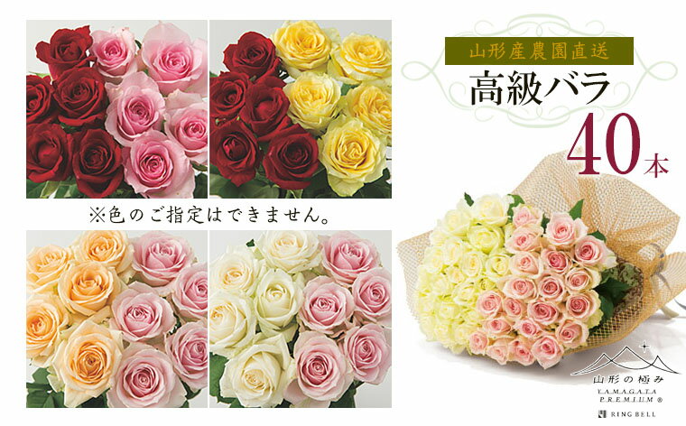 【ふるさと納税】山形産農園直送高級バラ 40本 FZ26-742