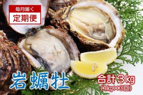 (12018)【定期便】岩カキ  1kg×3回 牡蠣 岩牡蠣 海のミルク 濃厚 クリーミー 夏バテ防止 冷蔵 冷凍 焼き 蒸し& 加熱 定期便  毎月3ヶ月