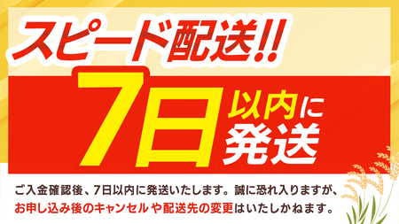 【令和7年産】 ミルキークイーン 精米 10kg（5kg×2袋）（茨城県共通返礼品 かすみがうら市産） [EX015sa]