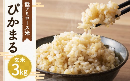 【新米先行予約】低アミロース米 ぴかまる 3kg 玄米 米 お米 玄米 福岡県 筑後市 【2025年11月より順次発送開始予定】