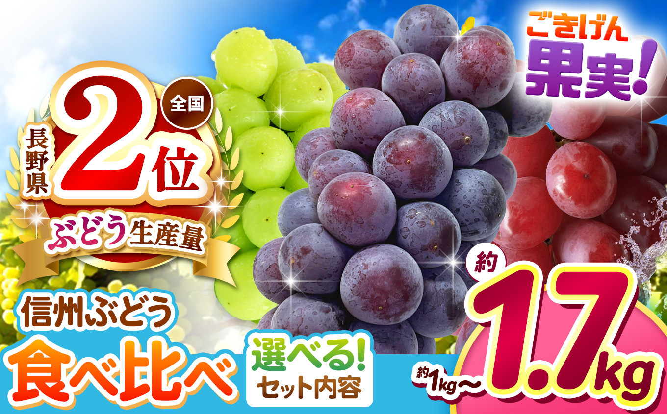 
            ブドウ王国 長野県産 ぶどうセット 選べる組合せ ｜ぶどう 葡萄  ナガノパープル シャインマスカット クイーンルージュ 果物 お好み フルーツ 種無し 新鮮 信州産 ご機嫌 果実 | 1kg 数量限定 期間限定 |  2房 ～ 3房 先行予約 ふるさと納税 松本市 | 寄附額 13000円～
          