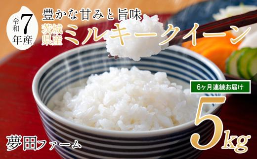 【 6ヵ月 定期便 】 令和7年産 ミルキークイーン 5kg │ 米 お米 白米 精米 5キロ 2025年産 茨城県産 茨城県 つくば市