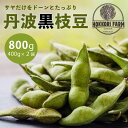 【ふるさと納税】 【期間限定】京都丹波産　丹波黒枝豆　800g（400g×2袋） ふるさと納税 京都丹波産 黒枝豆 黒豆 大粒 濃厚 京都府 福知山市 FCCO001