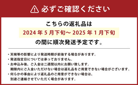 【2024年5月下旬より発送開始】【竹田市産】高原トマト 4㎏ (約16～24個) 【ベジスタとまとちゃん】